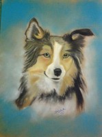 /album/galerie-photos/copie-de-photo-671-jpg/